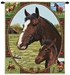 Thoroughbred Horse Wall Tapestry - C-0295